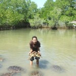 Pulau Penyu